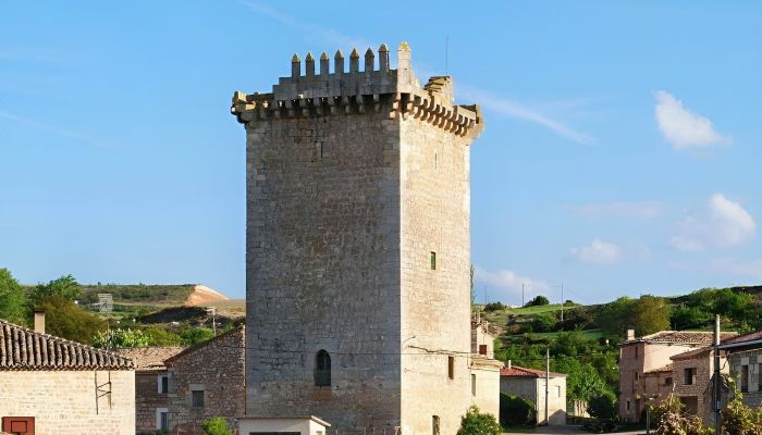 Immobile storico in vendita Villadiego, Castilla y León,  Spagna