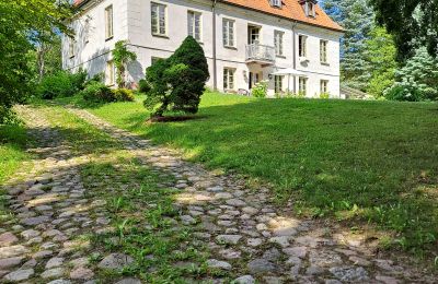 Villa padronale in vendita Dawidy, Dwór w Dawidach, Voivodato di Varmia-Masuria, Vista posteriore