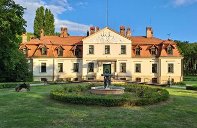 Villa padronale in vendita Dawidy, Dwór w Dawidach, Voivodato di Varmia-Masuria, Neighborhood: Kadyny