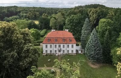 Villa padronale in vendita Dawidy, Dwór w Dawidach, Voivodato di Varmia-Masuria, Foto con drone