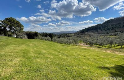 Casa di campagna in vendita Rivalto, Toscana, Vista