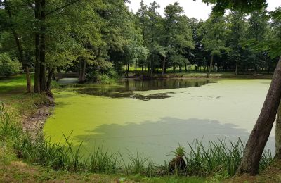 Villa padronale in vendita Błaszki, województwo łódzkie, Teich/See