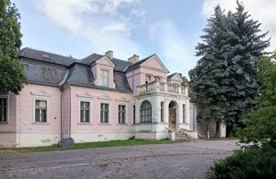 Villa padronale in vendita Manieczki, Parkowa 4, Wielkopolska, Vista esterna