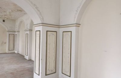 Villa padronale in vendita Manieczki, Parkowa 4, Wielkopolska, Decorazione a stucco