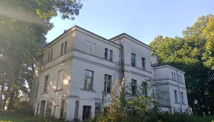 Villa padronale Goniembice 4