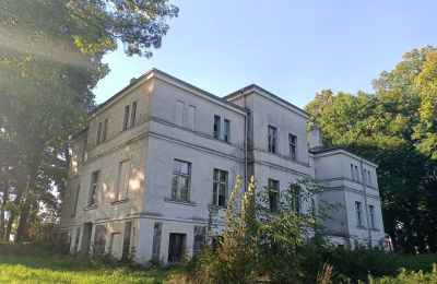 Villa padronale in vendita Goniembice, Dwór w Goniembicach, Wielkopolska, Foto 4/8