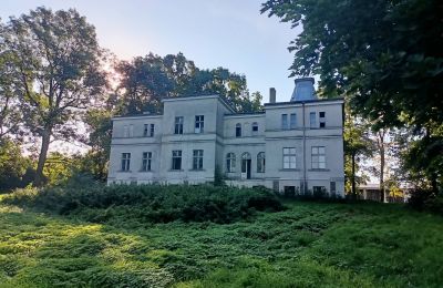 Villa padronale in vendita Goniembice, Dwór w Goniembicach, Wielkopolska, Vista posteriore