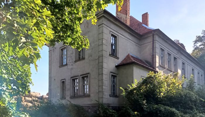 Villa padronale Osieczna 4