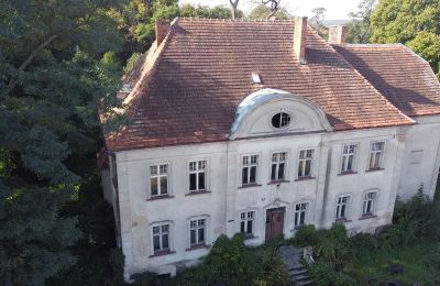 Villa padronale Osieczna, Wielkopolska