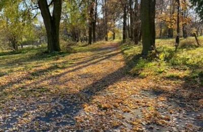 Villa padronale in vendita Mzurów, Voivodato della Slesia,, Foto 5/5