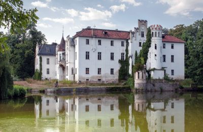 Palazzo in vendita Dobrocin, Pałac w Dobrocinie, Bassa Slesia, Vista laterale