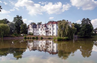 Palazzo in vendita Dobrocin, Pałac w Dobrocinie, Bassa Slesia, Stagno/Lago