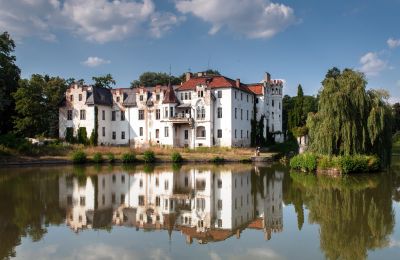 Palazzo in vendita Dobrocin, Pałac w Dobrocinie, Bassa Slesia, Foto 6/17