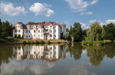 Palazzo in vendita Dobrocin, Pałac w Dobrocinie, Bassa Slesia, Pałac w Dobrocinie