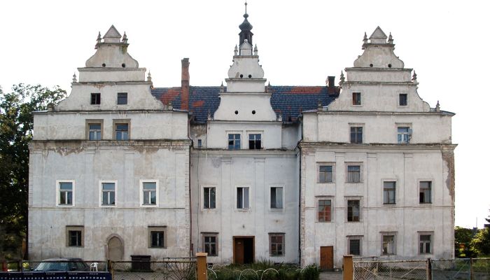 Palazzo in vendita Wilków Wielki, Bassa Slesia,  Polonia