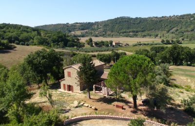 Casa di campagna in vendita Montescudaio, Toscana, RIF 2185 Blick auf Anwesen