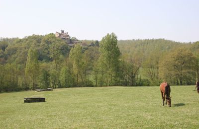 Casa di campagna in vendita Arezzo, Toscana, RIF2262-lang22#RIF 2262 Pferdekoppeln mit Ausblick